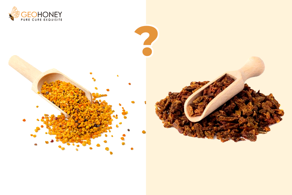 difference between bee pollen and propolis